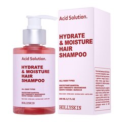 Кислотний шампунь для глибокого зволоження шкіри голови і волосся HOLLYSKIN Acid Solution.